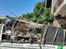 Best Basement Cleanout  in Arcola, TX